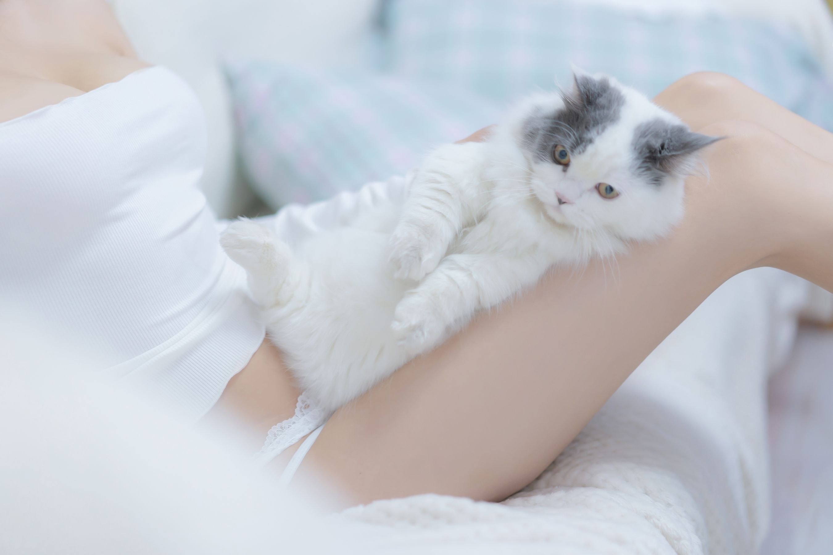 斗鱼米线线sama – 我和猫 Cosplay-第59张