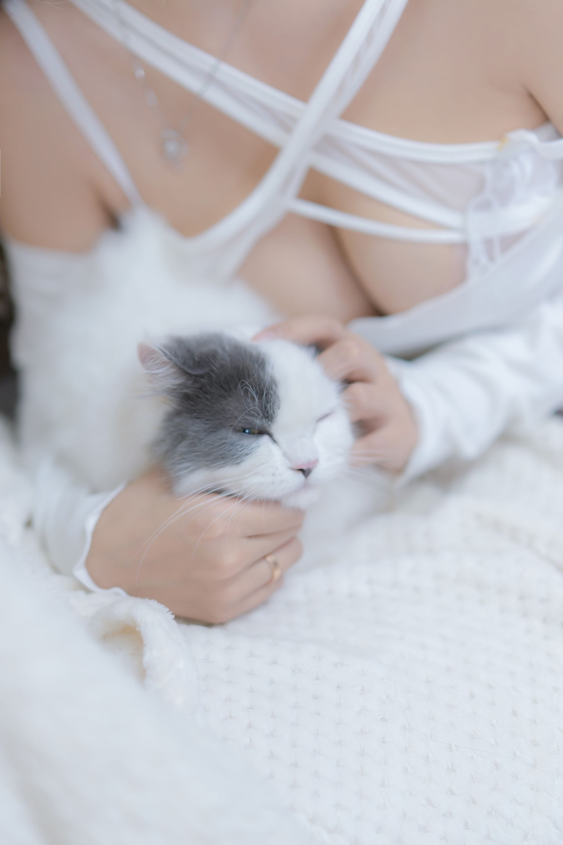 斗鱼米线线sama – 我和猫 Cosplay-第37张