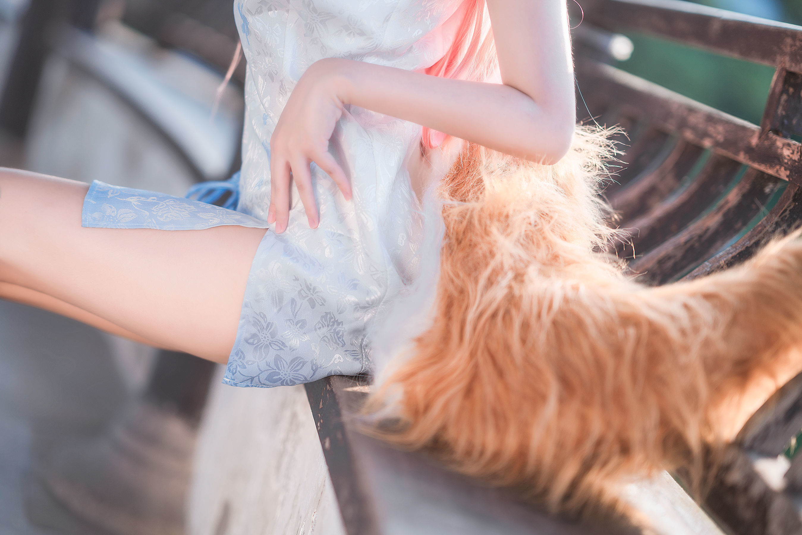 微博妹子三度_69 旗袍玉藻前 Cosplay-第15张