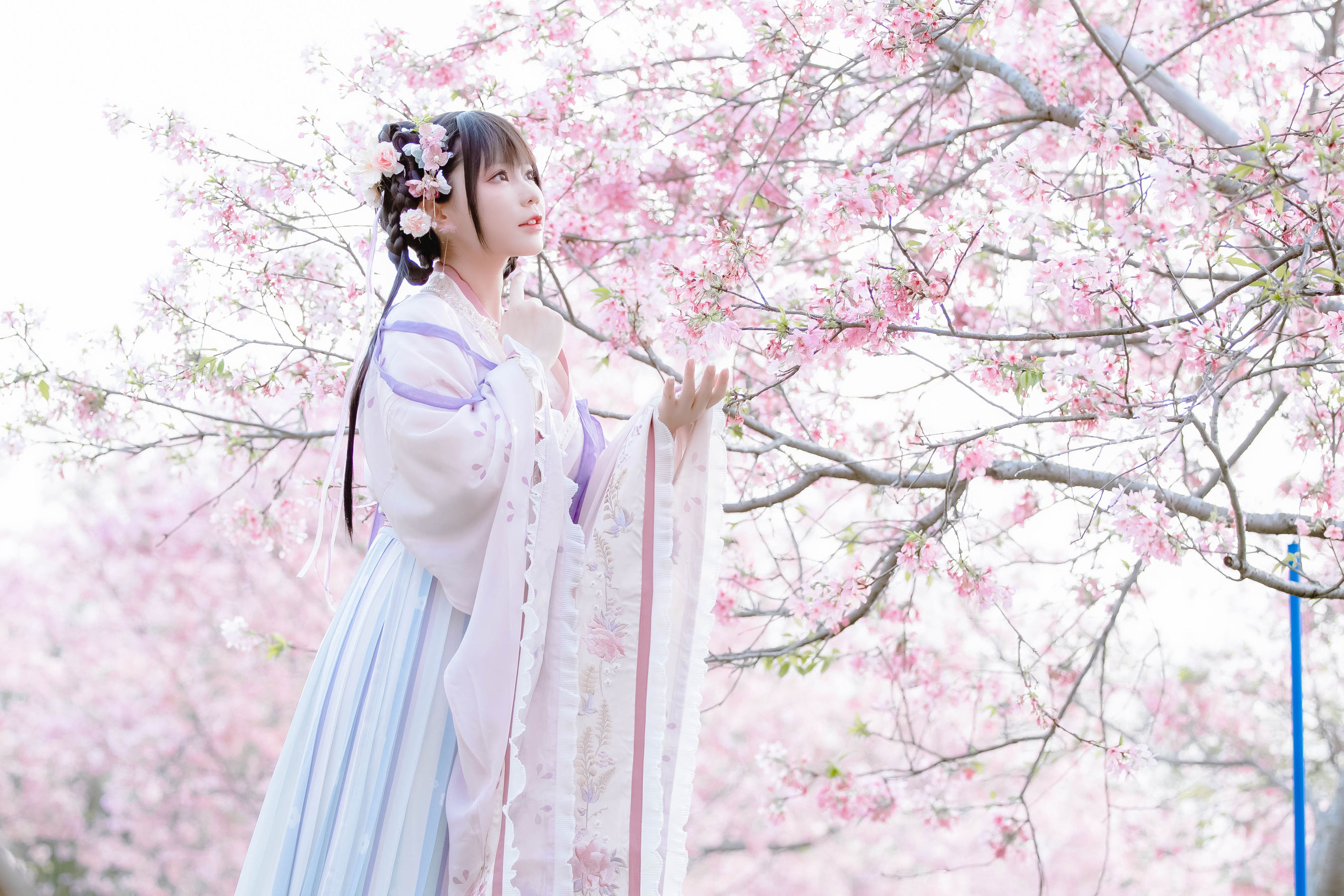 萌妹子Nyako喵子 – 樱花汉服 花神祈愿 Cosplay-第9张