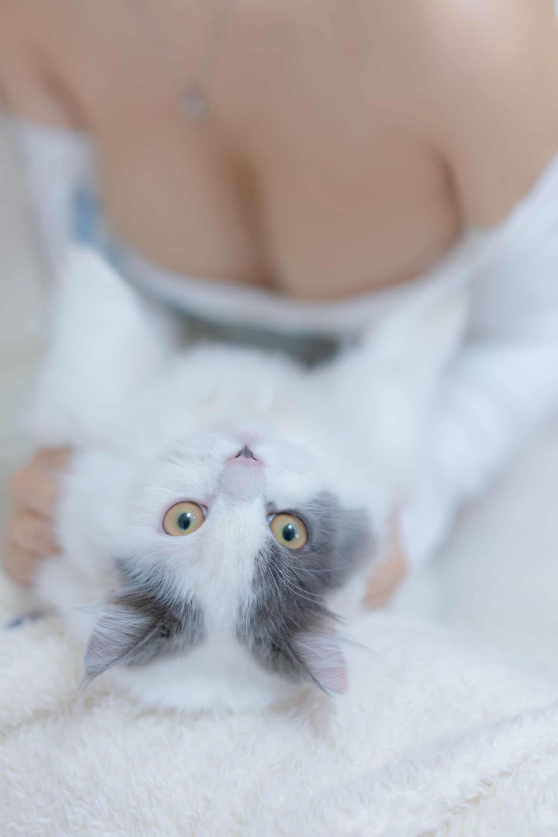 斗鱼米线线sama – 我和猫 Cosplay-第84张