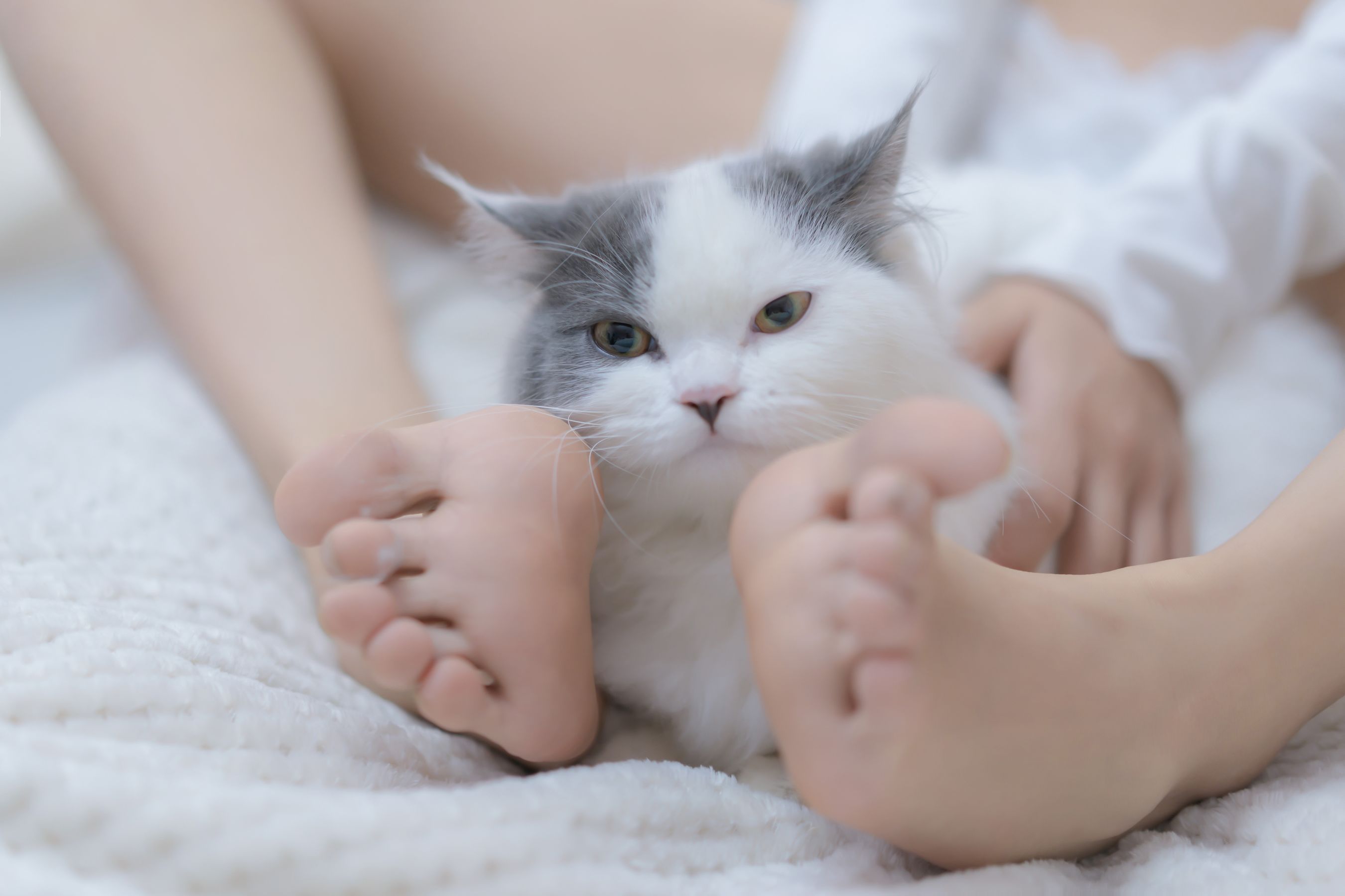 斗鱼米线线sama – 我和猫 Cosplay-第56张