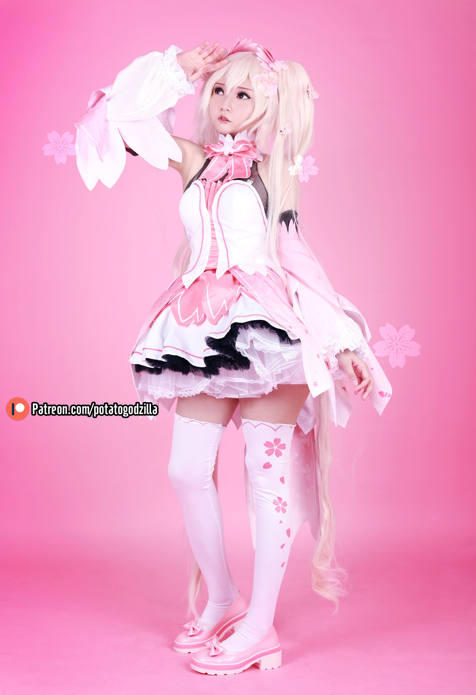Coser小姐姐Potato Godzilla – Sakura Miku Cosplay-第43张