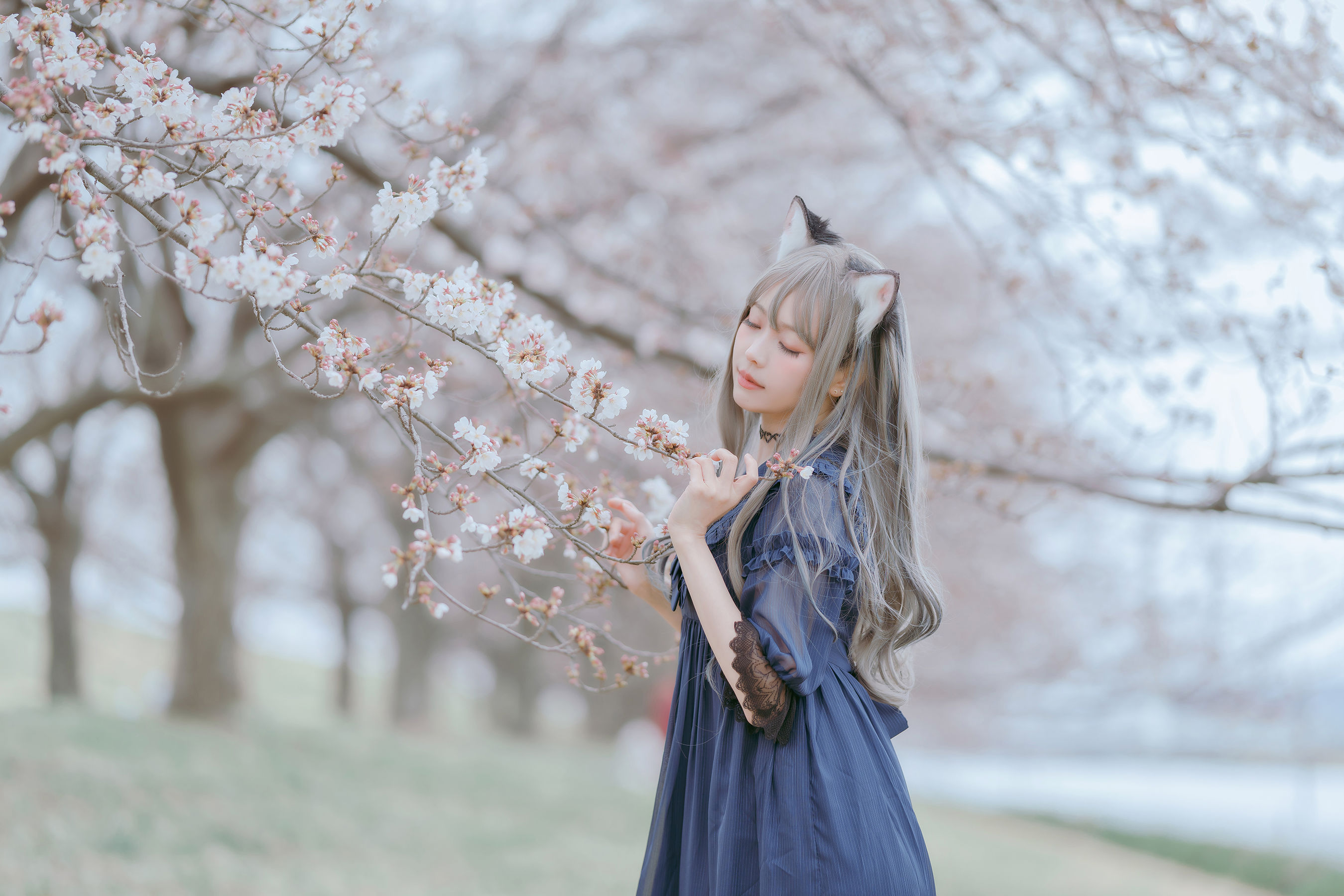 Ely_eee(ElyEE子) – Sakura Cosplay-第1张