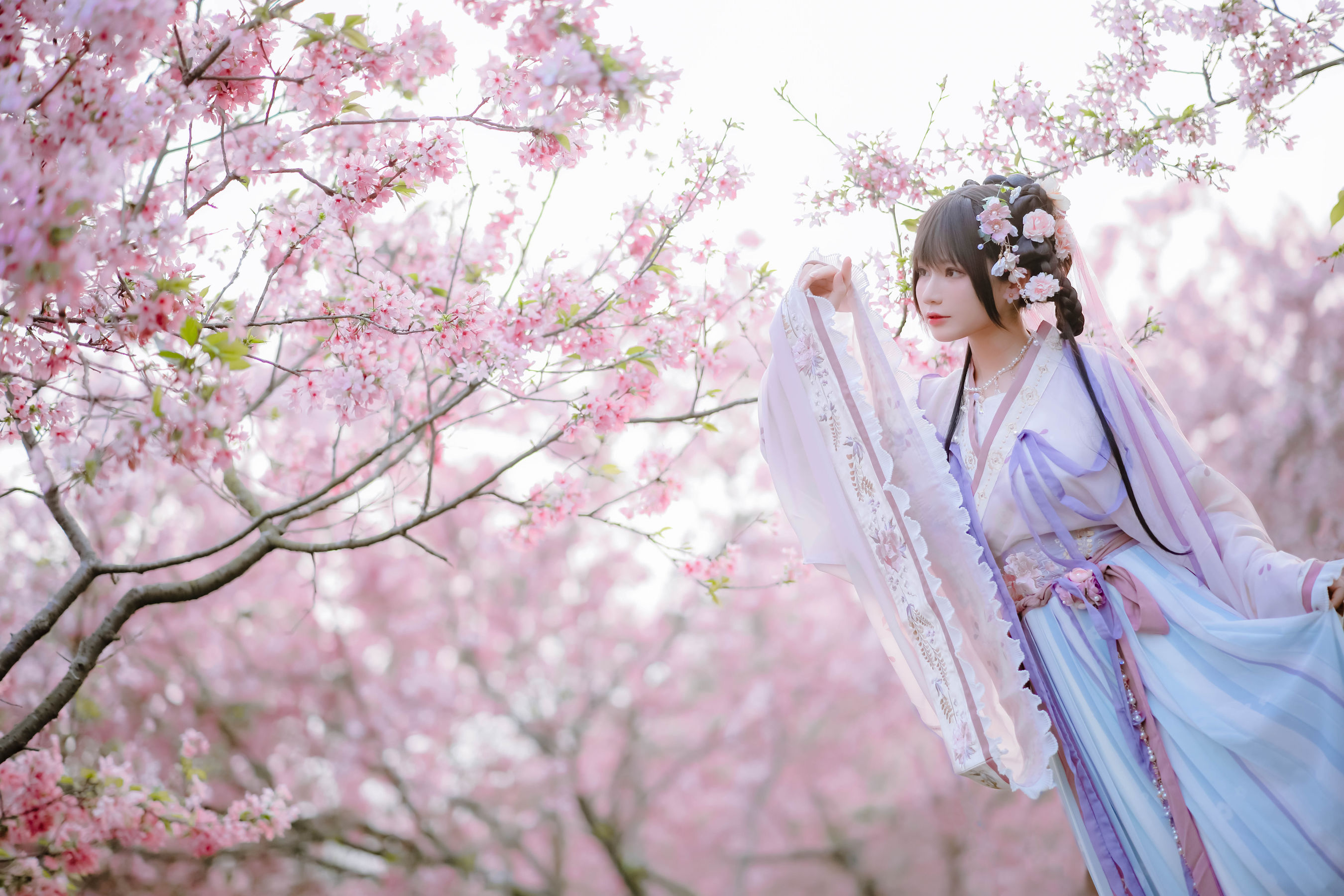 萌妹子Nyako喵子 – 樱花汉服 花神祈愿 Cosplay-第12张