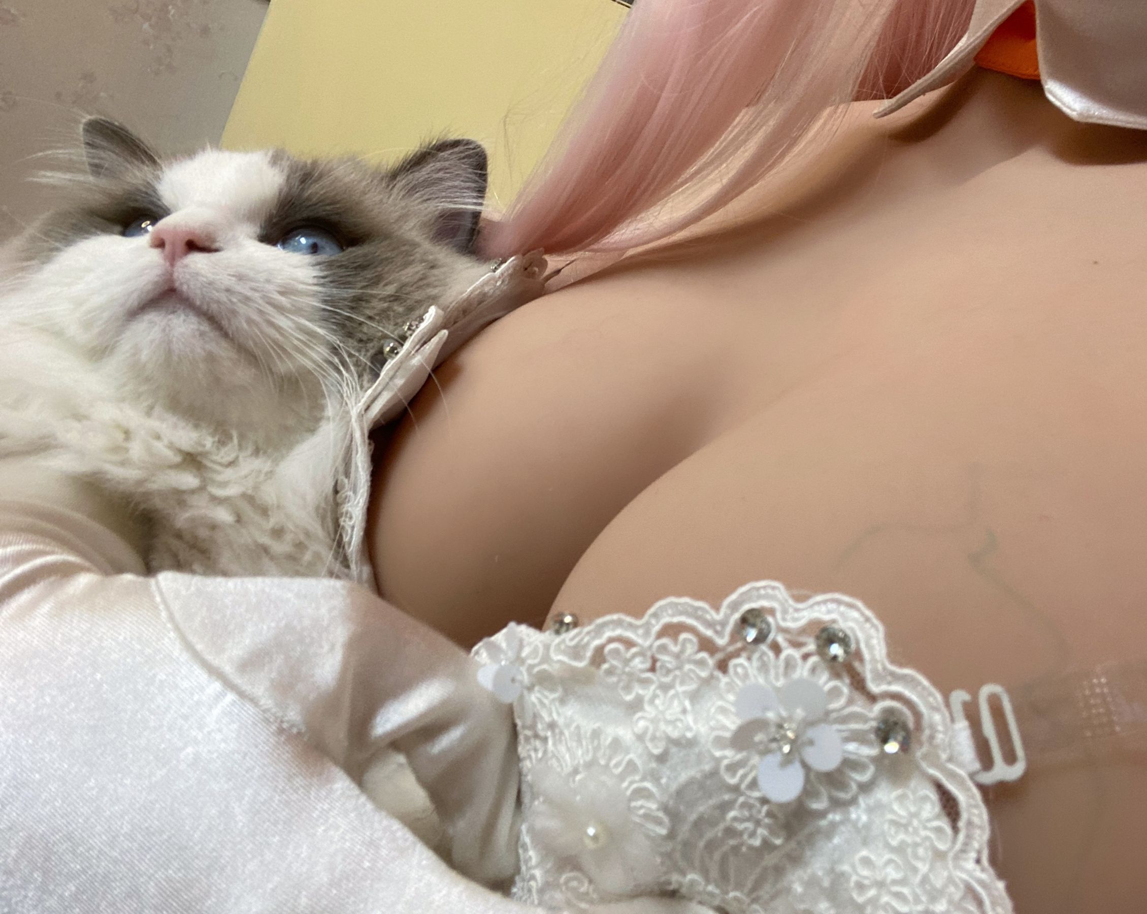 起司块wii – 自拍1 Cosplay-第31张