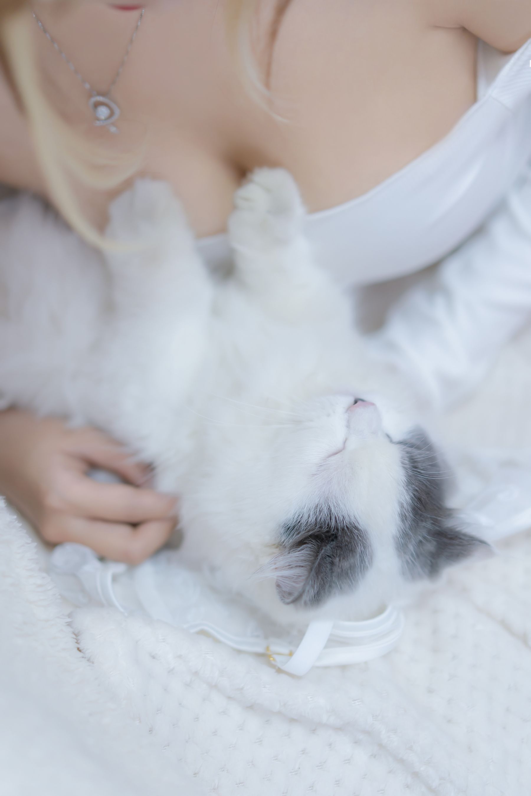 斗鱼米线线sama – 我和猫 Cosplay-第80张