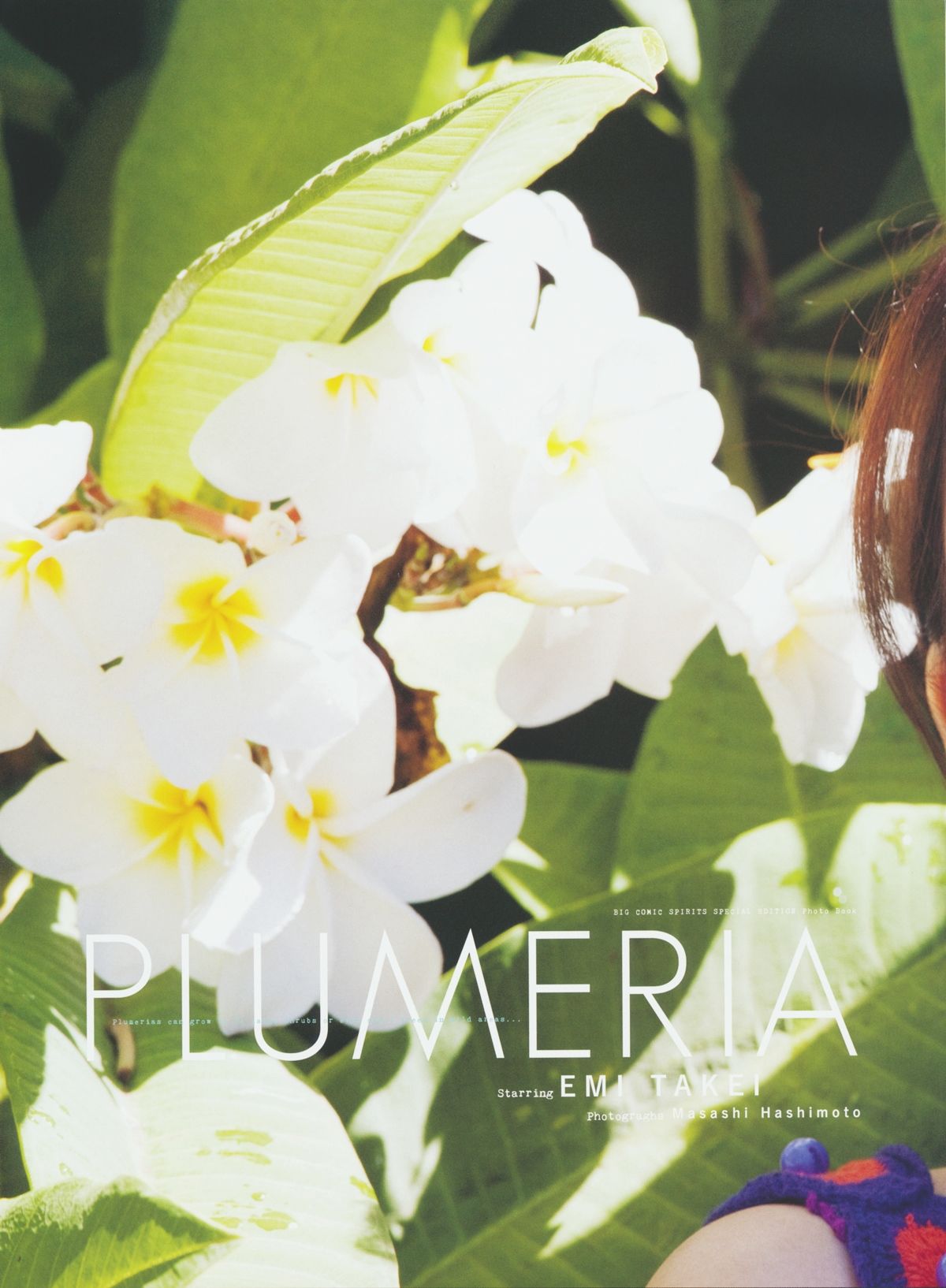武井咲 《PLUMERIA》 摄影：桥本雅司 Cosplay-第3张