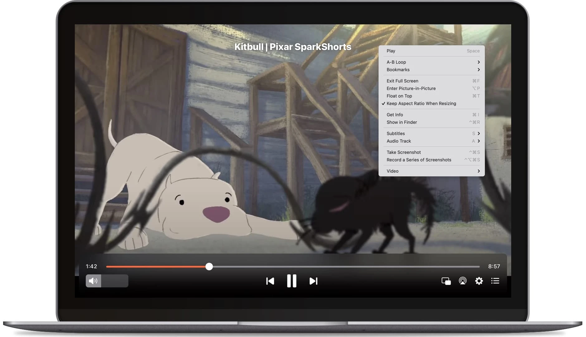 Elmedia Player Pro Mac  第1张-《94零社区》