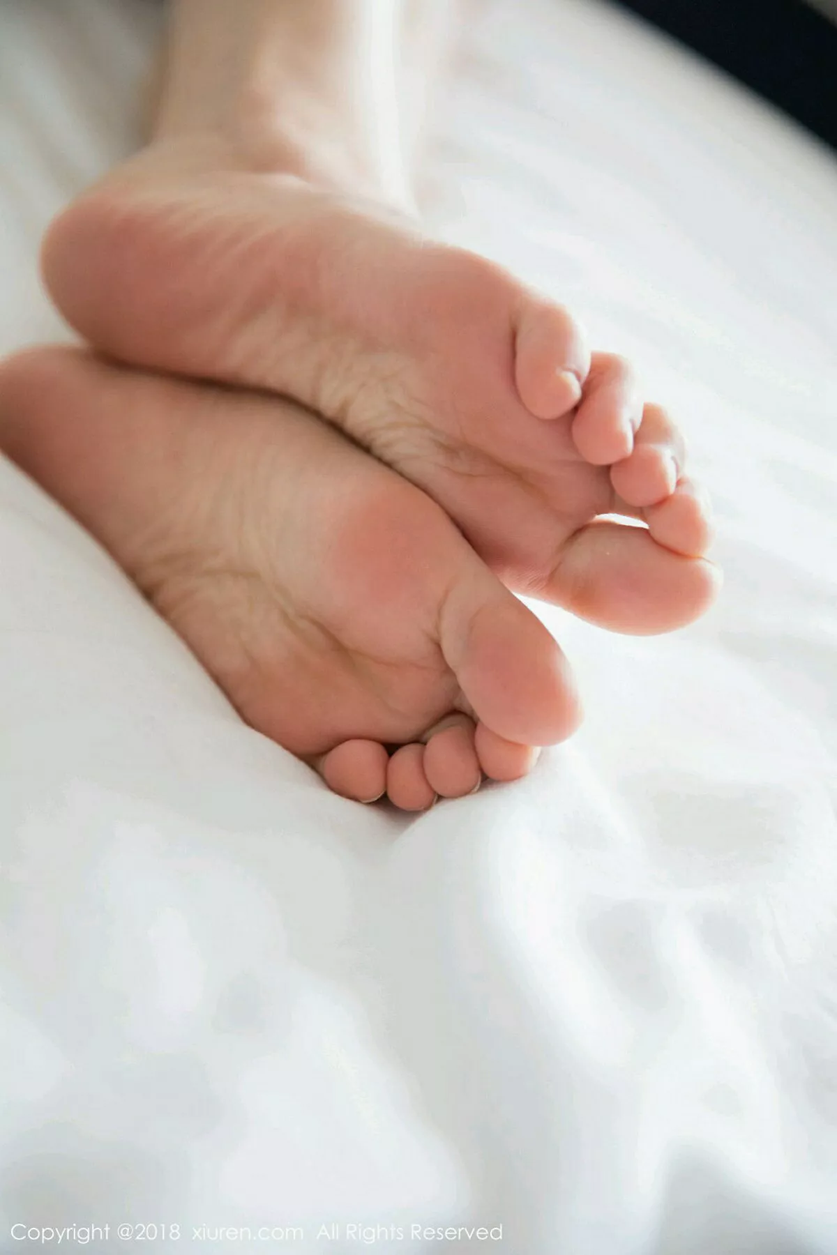 [XiuRen秀人网]第1134期杨晨晨写真  第10张-《94零社区》